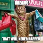 Cat shopping | DREAMS; THAT WILL NEVER HAPPEN | image tagged in cat shopping | made w/ Imgflip meme maker