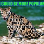 SITTING OCELOT BY WATER | I COULD BE MORE POPULAR; W I T H   A N     O C E L O T; B E T T E R   M E M E S | image tagged in sitting ocelot by water | made w/ Imgflip meme maker