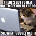 What Does Google Have to Say | THERE'S GOT TO BE A WAY TO GET RID OF THE DOG; LET'S SEE WHAT GOOGLE HAS TO SAY | image tagged in working cat | made w/ Imgflip meme maker