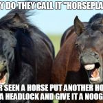 Horses | WHY DO THEY CALL IT "HORSEPLAY?"; EVER SEEN A HORSE PUT ANOTHER HORSE IN A HEADLOCK AND GIVE IT A NOOGIE? | image tagged in horses | made w/ Imgflip meme maker