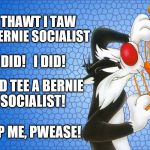 Tweety Bird and Sylvester: The Capitalist vs. the Socialist | I THAWT I TAW A BERNIE SOCIALIST; I DID!   I DID! I DID TEE A BERNIE SOCIALIST! HELP ME, PWEASE! | image tagged in tweety bird and sylvester,memes,capitalism,socialism,election 2016 | made w/ Imgflip meme maker