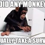 Survey Monkey | DID ANY MONKEY; ACTUALLY TAKE A SURVEY? | image tagged in monkey computer,survey,monkey,surveymonkey,cute animals,memes | made w/ Imgflip meme maker