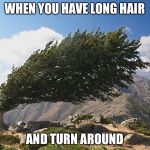 Fabulous Tree | WHEN YOU HAVE LONG HAIR; AND TURN AROUND | image tagged in fabulous tree | made w/ Imgflip meme maker