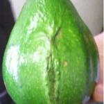 Pussy Avocado