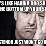 fed up | IT'S LIKE HAVING DOG SHIT ON THE BOTTOM OF YOUR SHOE... THE STENCH JUST WON'T GO AWAY. | image tagged in fed up | made w/ Imgflip meme maker