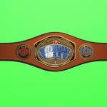 2k Championship Belt