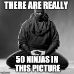 Ninja Zen | THERE ARE REALLY; 50 NINJAS IN THIS PICTURE | image tagged in ninja zen | made w/ Imgflip meme maker