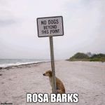 Fight the Power No Dogs | ROSA BARKS | image tagged in fight the power no dogs | made w/ Imgflip meme maker