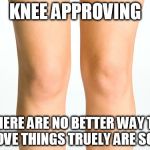 Knees | KNEE APPROVING; THERE ARE NO BETTER WAY TO PROVE THINGS TRUELY ARE SOLID | image tagged in knees | made w/ Imgflip meme maker