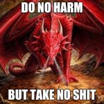 dragon | DO NO HARM; BUT TAKE NO SHIT | image tagged in dragon | made w/ Imgflip meme maker