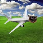 Plane Cat