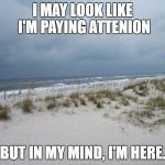 beach | I MAY LOOK LIKE I'M PAYING ATTENION; BUT IN MY MIND, I'M HERE. | image tagged in beach | made w/ Imgflip meme maker