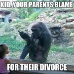 Angry monkey | HEY KID. YOUR PARENTS BLAME YOU; FOR THEIR DIVORCE | image tagged in bad monkey,memes,funny | made w/ Imgflip meme maker