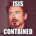 Robert Downy Jr | ISIS; CONTAINED | image tagged in robert downy jr | made w/ Imgflip meme maker