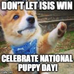 Don't let ISIS win. | DON'T LET ISIS WIN; CELEBRATE NATIONAL PUPPY DAY! | image tagged in puppy corgi,memes,truth,puppy,dragon | made w/ Imgflip meme maker