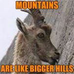 :D | MOUNTAINS; ARE LIKE BIGGER HILLS | image tagged in imgflip 10 guy goat,memes | made w/ Imgflip meme maker