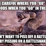 Rattlesnake | BE CAREFUL WHERE YOU "GO" IN THE WOODS WHEN YOU "GO" IN THE WOODS; YOU DON'T WANT TO PISS OFF A RATTLESNAKE BY PISSING ON A RATTLESNAKE | image tagged in rattlesnake | made w/ Imgflip meme maker