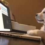 ClickFunnels Puppy Computer