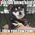 Cool dog | DID YOU BRING BEER? OK, THEN YOU CAN COME IN. | image tagged in cool dog,beer | made w/ Imgflip meme maker