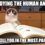 What are you studying grumpy cat? | I'M STUDYING THE HUMAN ANATOMY; SO I CAN KILL YOU IN THE MOST PAINFUL WAY | image tagged in grumpy cat studying | made w/ Imgflip meme maker