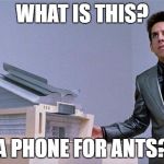 A center for ants? | WHAT IS THIS? A PHONE FOR ANTS? | image tagged in a center for ants | made w/ Imgflip meme maker