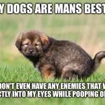 Mans "best friend" | THEY SAY DOGS ARE MANS BEST FRIEND; BUT I DON'T EVEN HAVE ANY ENEMIES THAT WOULD STARE DIRECTLY INTO MY EYES WHILE POOPING ON MY CARPET | image tagged in puppy pooping,man's best friend,dog,poop | made w/ Imgflip meme maker