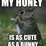 paws | MY HONEY; IS AS CUTE AS A BUNNY | image tagged in paws | made w/ Imgflip meme maker