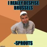 In all seriousness though, my thoughts and prayers are with all the victims of that barbaric attack. | I REALLY DESPISE BRUSSELS; -SPROUTS | image tagged in memes,ordinary muslim man,brussels | made w/ Imgflip meme maker