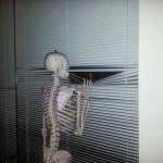 skeleton window