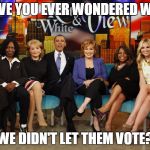 Have you ever wondered why we didn't used to let them vote? | HAVE YOU EVER WONDERED WHY; WE DIDN'T LET THEM VOTE? | image tagged in the view | made w/ Imgflip meme maker