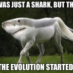 Shark Horse | HE WAS JUST A SHARK, BUT THEN... THE EVOLUTION STARTED! | image tagged in shark horse | made w/ Imgflip meme maker