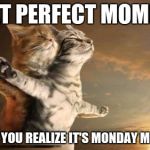 catslovers | THAT PERFECT MOMENT; BEFORE YOU REALIZE IT'S MONDAY MORNING | image tagged in catslovers | made w/ Imgflip meme maker