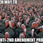 Turkies | WHICH WAY TO; THE ANTI-2ND AMENDMENT PROTEST | image tagged in turkies | made w/ Imgflip meme maker