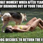 Dog Pees on Girl | THAT MOMENT WHEN AFTER YEARS OF DRINKING OUT OF YOUR TOILET; YOUR DOG DECIDES TO RETURN THE FAVOUR. | image tagged in dog pees on girl | made w/ Imgflip meme maker