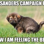 Ouch | I ATE A SANDERS CAMPAIGN POSTER; NOW I AM FEELING THE BERN | image tagged in puppy pooping | made w/ Imgflip meme maker