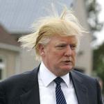 trump - Bad Hair