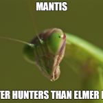 praying mantis Meme Generator - Imgflip
