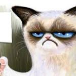 Grumpy Cat sign
