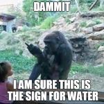 Problems in early language development | DAMMIT; I AM SURE THIS IS THE SIGN FOR WATER | image tagged in bad monkey,communication breakdown | made w/ Imgflip meme maker