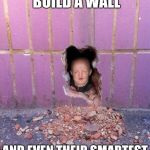 WallSmeagol | I'M GOING TO BUILD A WALL; AND EVEN THEIR SMARTEST WON'T GET THROUGH!!! | image tagged in wallsmeagol | made w/ Imgflip meme maker