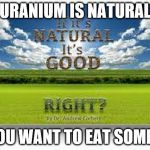 Natural Is Good | URANIUM IS NATURAL; YOU WANT TO EAT SOME? | image tagged in natural is good | made w/ Imgflip meme maker
