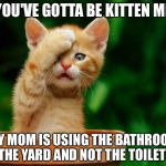You've gotta be kitten me | YOU'VE GOTTA BE KITTEN ME; MY MOM IS USING THE BATHROOM IN THE YARD AND NOT THE TOILET!!!!! | image tagged in come on | made w/ Imgflip meme maker