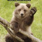 Good Morning | FEELING AWESOME | image tagged in good morning | made w/ Imgflip meme maker