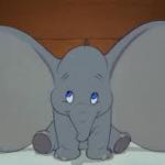 dumbo