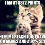 Down and give me 10k | I AM AT 8372 POINTS; HELP ME REACH 10K, I HAVE GOOD MEMES AND A 92% SCORE | image tagged in cute cat,memes | made w/ Imgflip meme maker