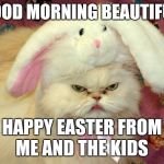 easter cat | GOOD MORNING BEAUTIFUL; HAPPY EASTER FROM ME AND THE KIDS | image tagged in easter cat | made w/ Imgflip meme maker