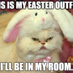 easter cat | THIS IS MY EASTER OUTFIT? I'LL BE IN MY ROOM. | image tagged in easter cat | made w/ Imgflip meme maker