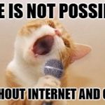 Polite Cat Meme Generator - Piñata Farms - The best meme generator and meme  maker for video & image memes