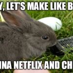 Bunny Meme 2 | HEY BABY, LET'S MAKE LIKE BUNNIES... WANNA NETFLIX AND CHILL? | image tagged in bunny meme 2 | made w/ Imgflip meme maker