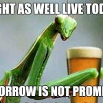 Might As Well Mantis | MIGHT AS WELL LIVE TODAY. TOMORROW IS NOT PROMISED. | image tagged in might as well mantis | made w/ Imgflip meme maker